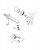 Array 19571002 Array 19571002